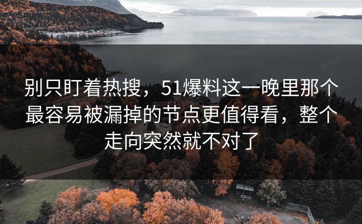 别只盯着热搜，51爆料这一晚里那个最容易被漏掉的节点更值得看，整个走向突然就不对了