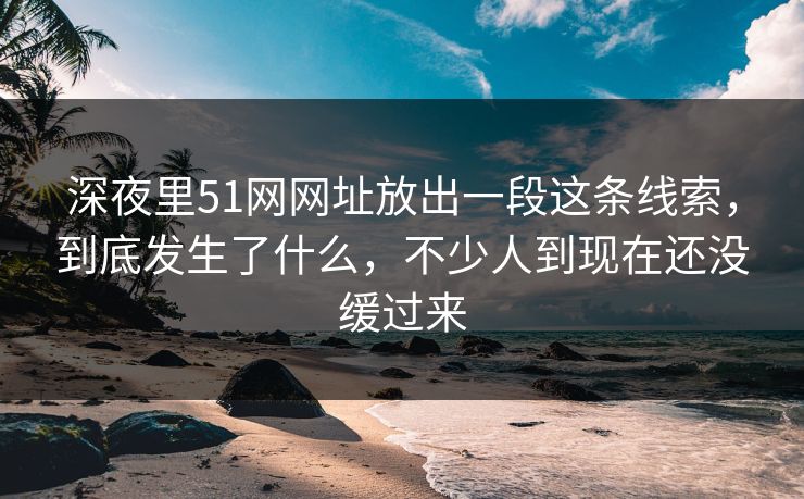 深夜里51网网址放出一段这条线索，到底发生了什么，不少人到现在还没缓过来