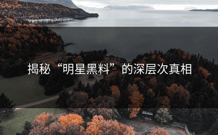 揭秘“明星黑料”的深层次真相