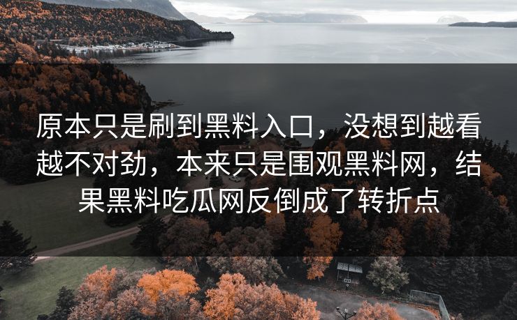 原本只是刷到黑料入口，没想到越看越不对劲，本来只是围观黑料网，结果黑料吃瓜网反倒成了转折点